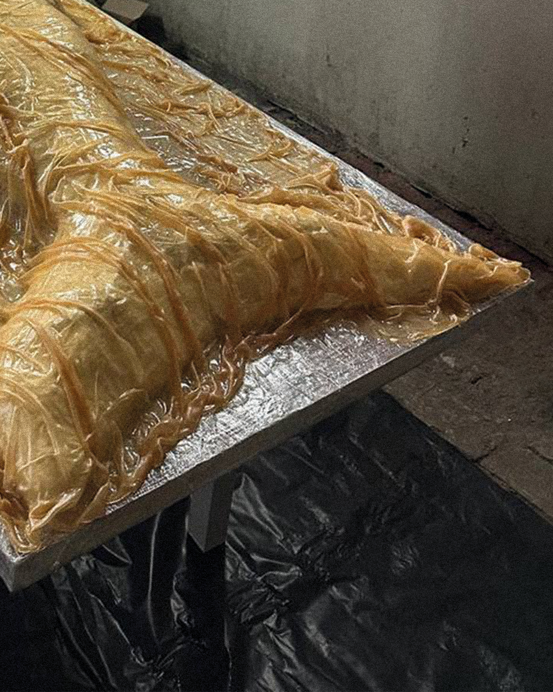 Тиха пісня сирени / Silent Siren Song, 2024